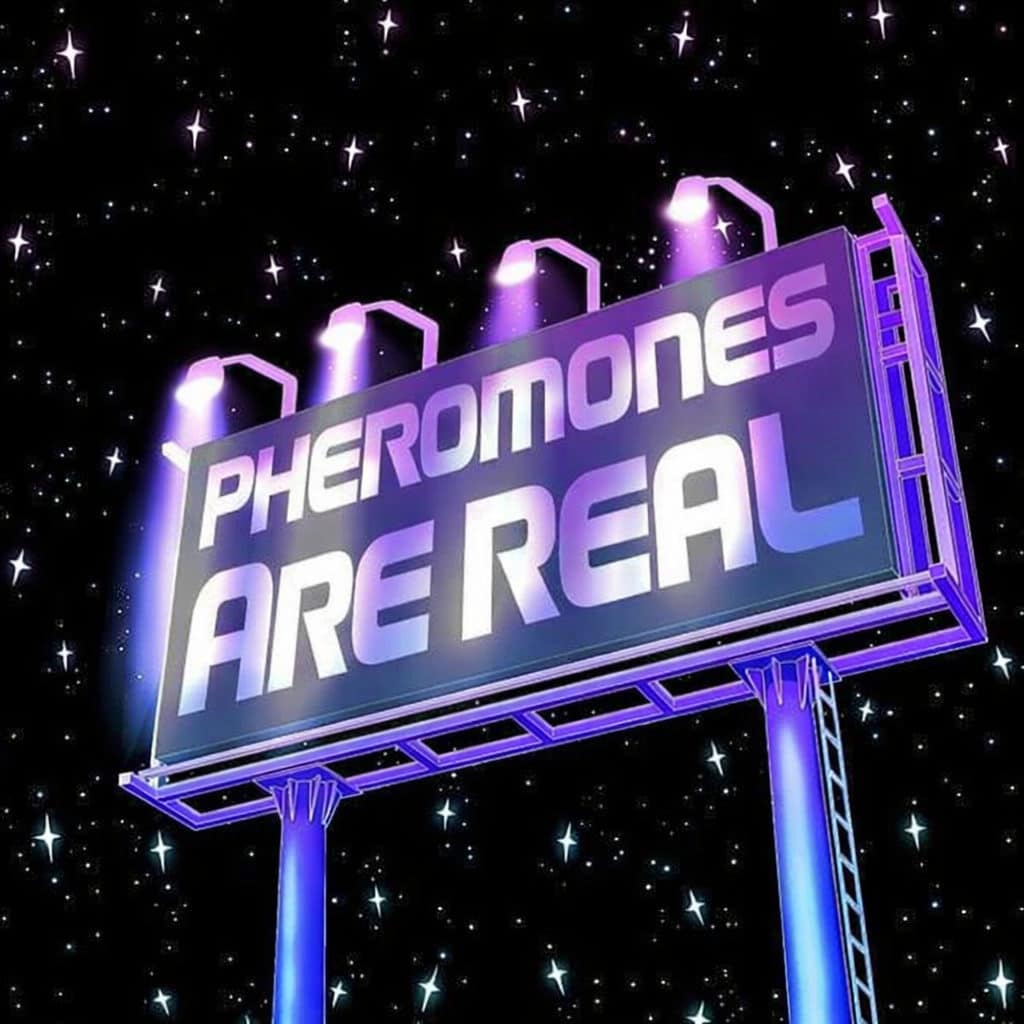 what-are-pheromones-deep-dive-cover-image